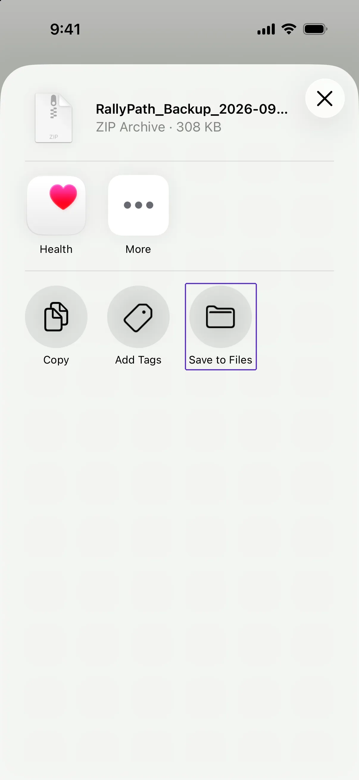 The iOS share sheet for the RallyPath_Backup_ ZIP file, with Save to Files outlined.